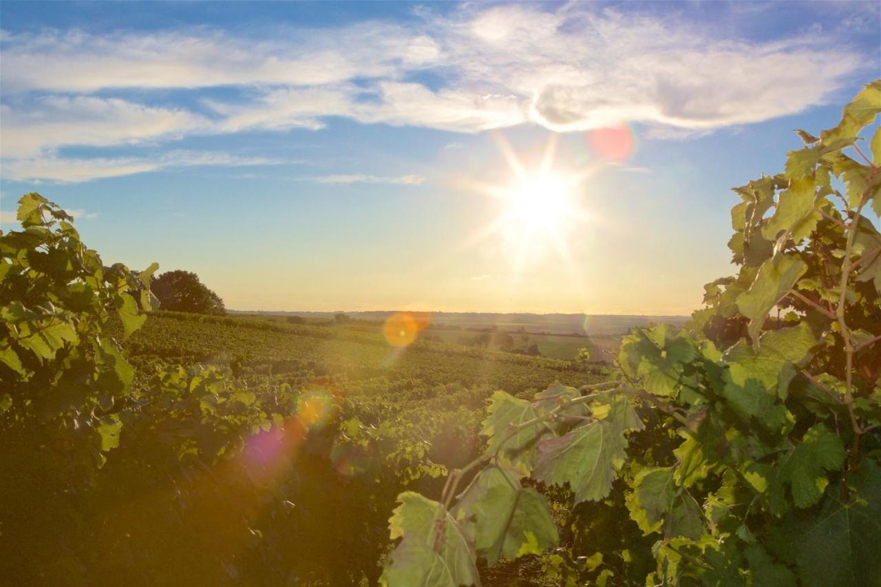 Weinhof Am Nussbaum Ξενοδοχείο Willanzheim Εξωτερικό φωτογραφία